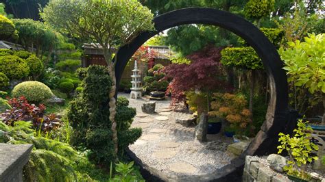 japanese inspired gardens what vines are used